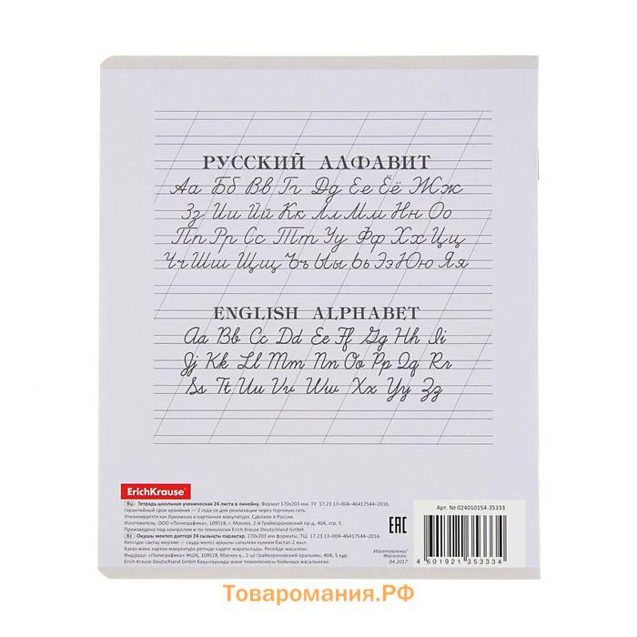 Тетрадь 24 листа в линейку, ErichKrause «Классика», обложка мелованный картон, МИКС