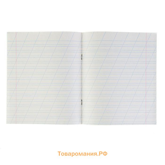 Тетрадь 12 листов в косую линейку «Зелёная обложка», бумажная обложка, серые листы, плотность 58-63 г/м²