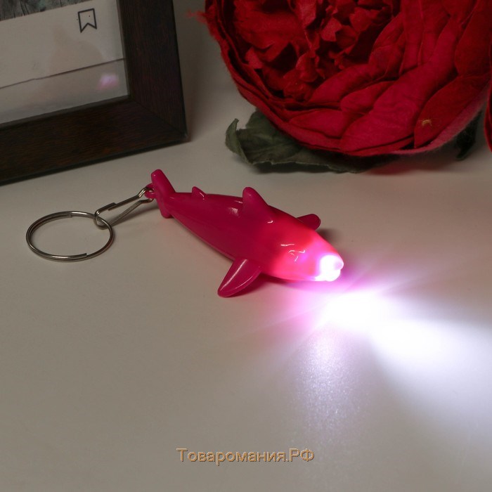 Фонарик свет на кольце "Дельфин" светит МИКС 3,5х6,5х2,5 см