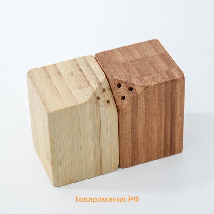 Набор для специй, 10×5×7 см, 2 шт, на магнитах, бамбук