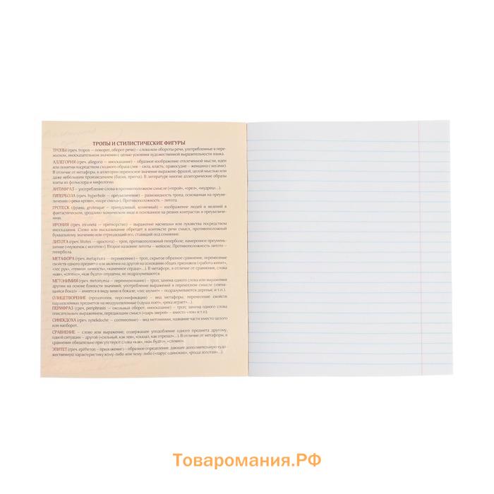 Тетрадь предметная 48 листов в линейку Calligrata, «Футбол. Литература», обложка мелованный картон