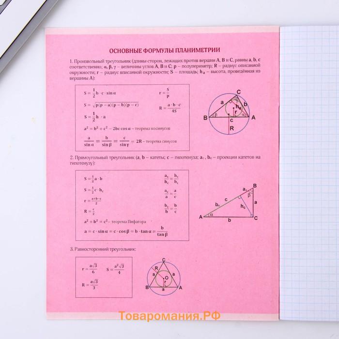 Тетрадь предметная 48 листов, А5, со справ. мат. «Геометрия», обложка мелованный картон 230 г внутренний блок в клетку