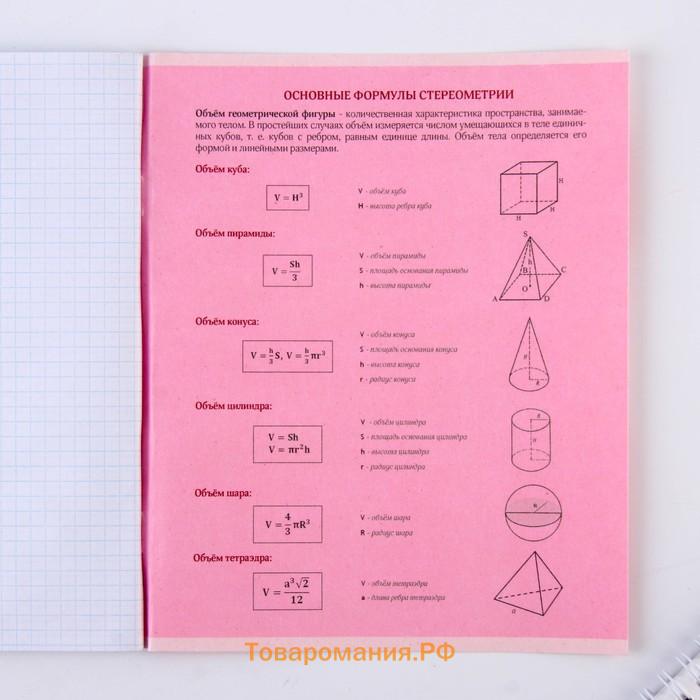 Тетрадь предметная 48 листов, А5, со справ. мат. «Геометрия», обложка мелованный картон 230 г внутренний блок в клетку