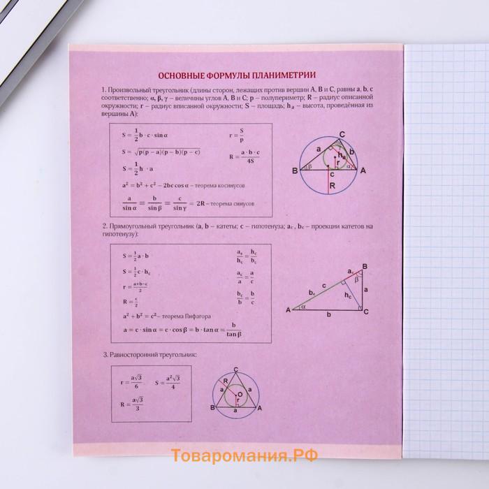 Тетрадь предметная 48 листов, А5, со справ. мат. «Геометрия», обложка мелованный картон 230 г внутренний блок в клетку белизна 96%