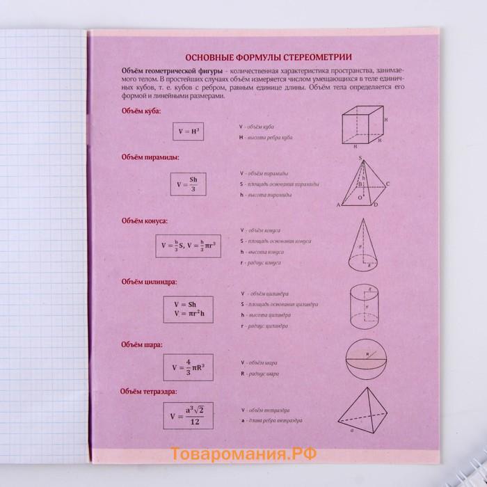 Тетрадь предметная 48 листов, А5, со справ. мат. «Геометрия», обложка мелованный картон 230 г внутренний блок в клетку белизна 96%