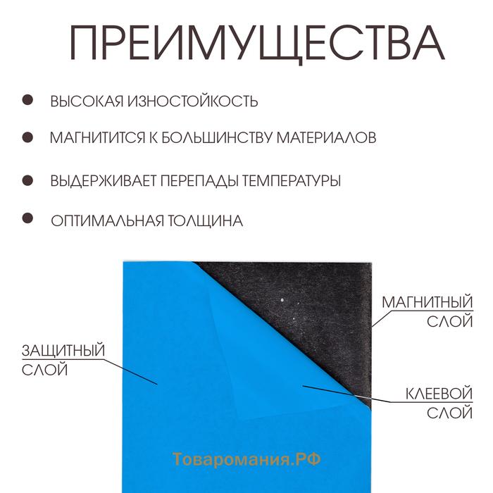 Магнитный винил, с ПВХ поверхностью, А3, 2 шт, толщина 0.3 мм, 42 х 29.7 см, синий