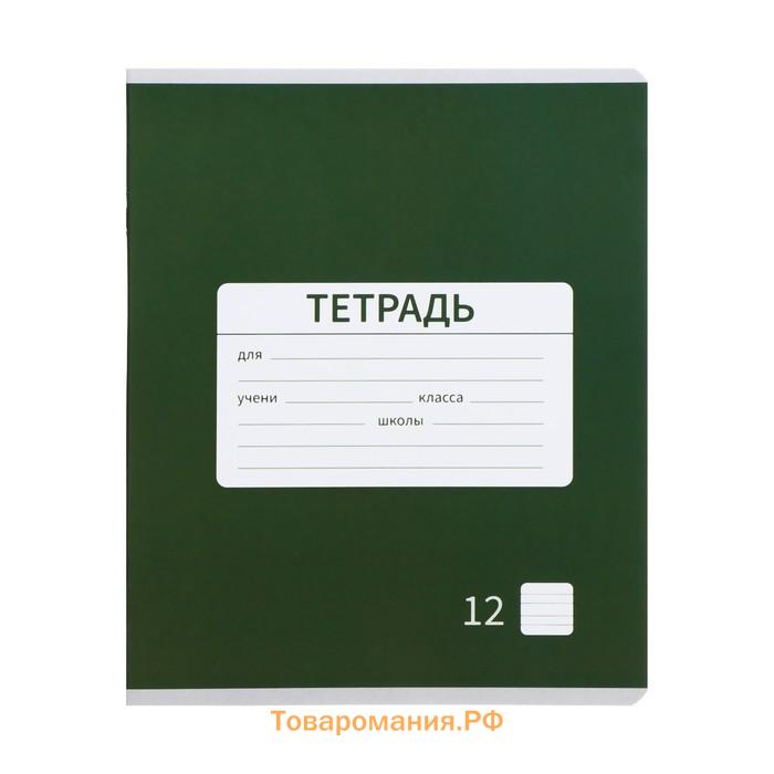 Набор тетрадей 12 листов в узкую линейку Calligrata "Однотонная школьная. Эконом", серые листы