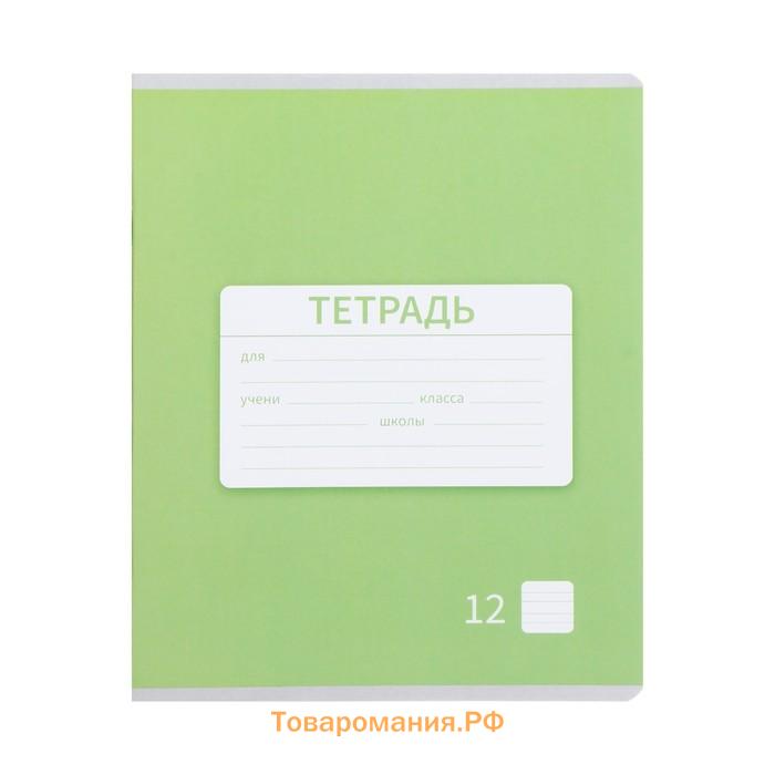 Набор тетрадей 12 листов в узкую линейку Calligrata "Однотонная школьная. Эконом", серые листы