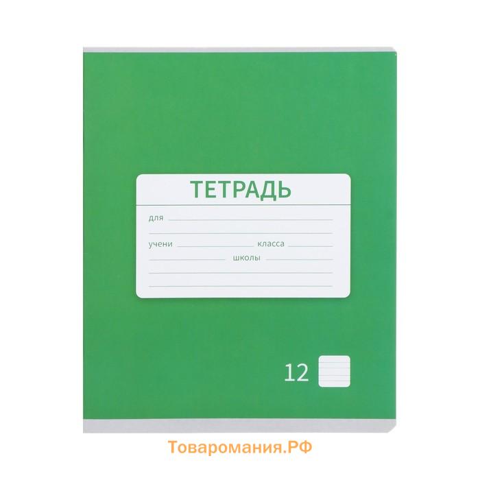 Набор тетрадей 12 листов в узкую линейку Calligrata "Однотонная школьная. Эконом", серые листы