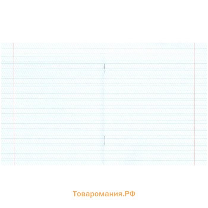 Тетрадь 12 листов в частую косую линейку "Зеленая обложка" бумажная фабрика, офсет №1, 60 г/м2, белизна 96%