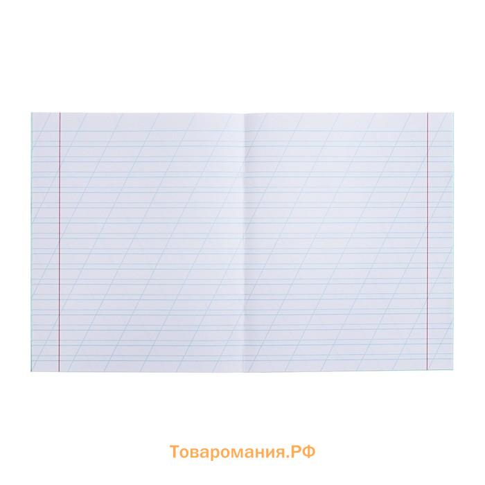 Тетрадь 12 листов в косую линейку «Зелёная обложка», 60 г/м², белые листы