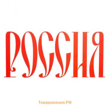 Термонаклейка «Россия», набор 10 шт., 40 × 18 см