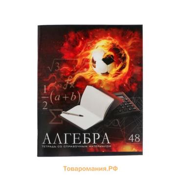 Тетрадь предметная 48 листов в клетку Calligrata, «Футбол. Алгебра», обложка мелованный картон