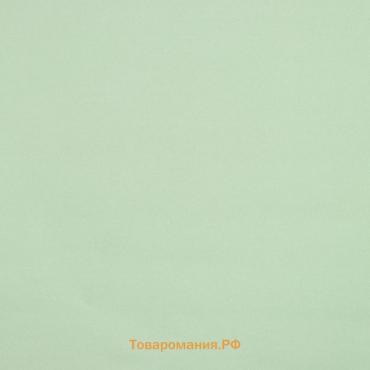 Штора рулонная «Нюд», блэкаут, 90×250 см, цвет зелёный