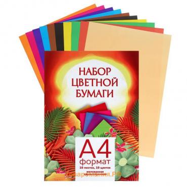 Бумага цветная А4, 10 листов, 10 цветов, мелованная, в папке