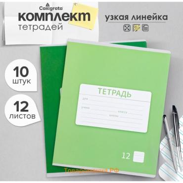 Набор тетрадей 12 листов в узкую линейку Calligrata "Однотонная школьная. Эконом", серые листы