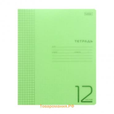 Тетрадь 12 листов в клетку "Зеленая", обложка пластиковая, блок 65 г/м2